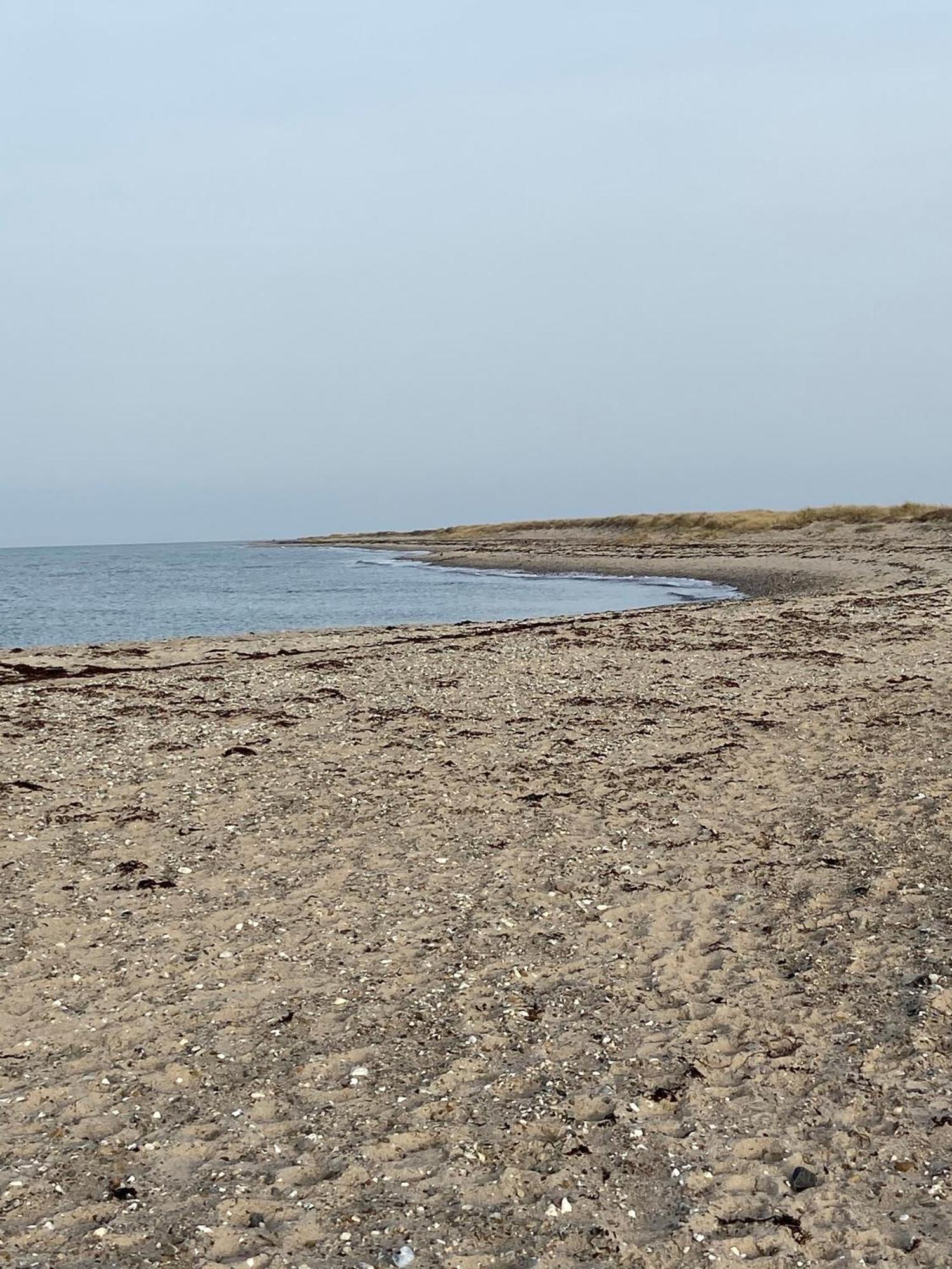 Ferienwohnung Sued Fehmarn Exterior foto